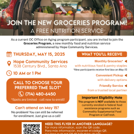 2025 Groceries Program Flyer in English