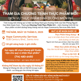 Vietnamese translation of 2025 Groceries Program Flyer